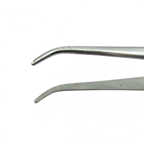 Standard Dissecting Forceps Curved 13cm