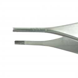 Adson Brown Tissue Forceps (7x7 teeth) 12 cm