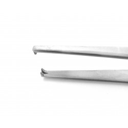 Standard Dissecting Forceps 1x2 teeth 14.5 cm