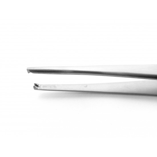Standard Tissue Forceps 1x2 Teeth 13 cm Stainless Steel