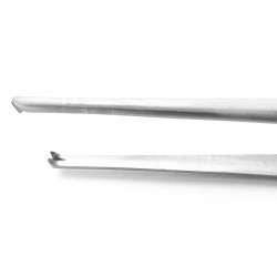 Standard Tissue Forceps Straight (1x2 teeth) 20 cm