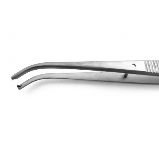 Thumb Tissue Forceps (1X2 Teeth) Curved 13 cm