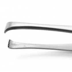 Tissue Forceps (5x6 teeth) 11.5 cm