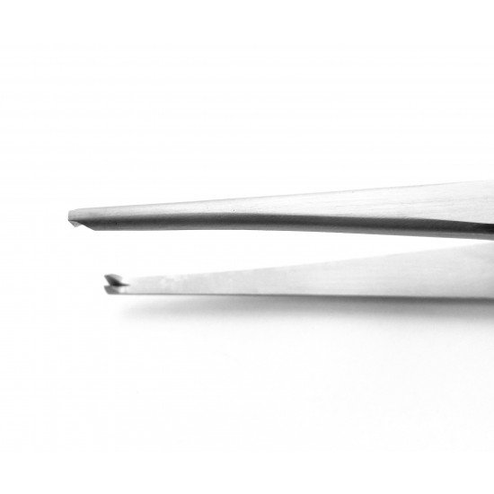 Treves Forceps (1x2 teeth) 13 cm