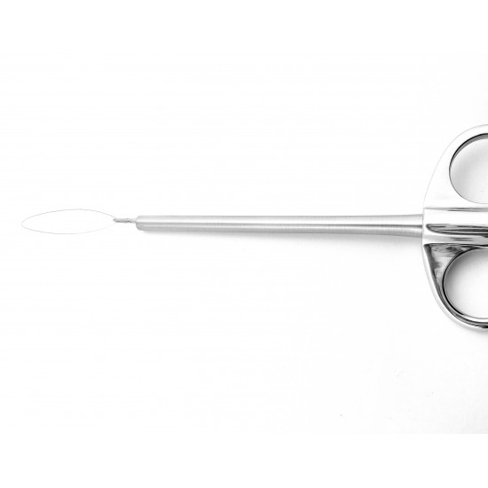 Eves Tonsil Snares 28 cm Figure 1