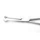 Babcock Tissue Forceps 16 cm