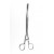 Heywood Smith Polypus ovum Forceps 250 mm