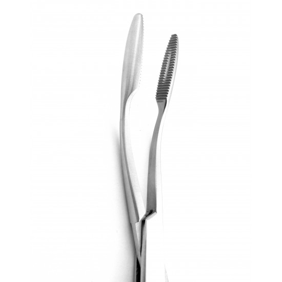 Gross Sponge Forceps Curved With Ratchet 20 cm