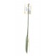 Shroeder Uterine Scoops 310 mm Figure 2
