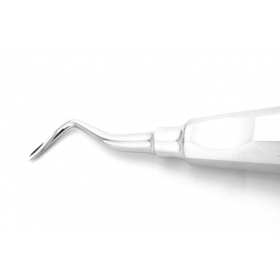 Dental Root Elevators Apexo lever Right Stainless Steel