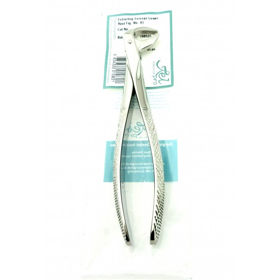 Dental Extracting Forceps English Lower Premolars and Roots Figure 81