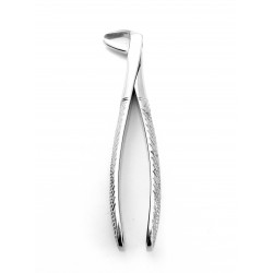 Dental Extracting Forceps Figure 73 L