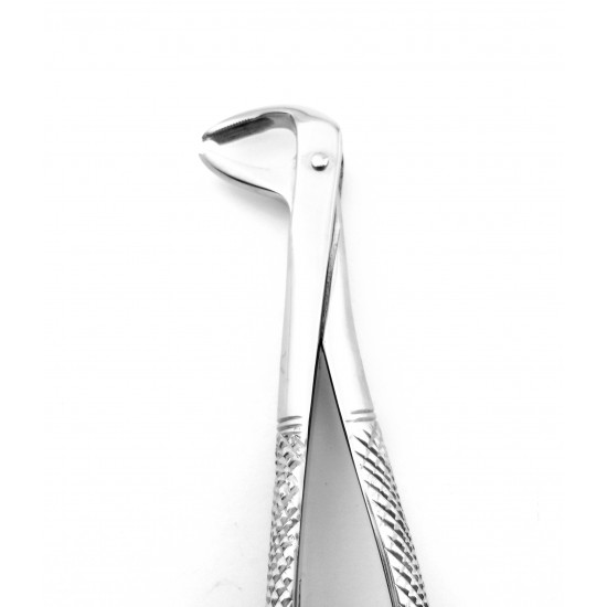 Dental Extracting Forceps Molars Right For Child Figure 73 R